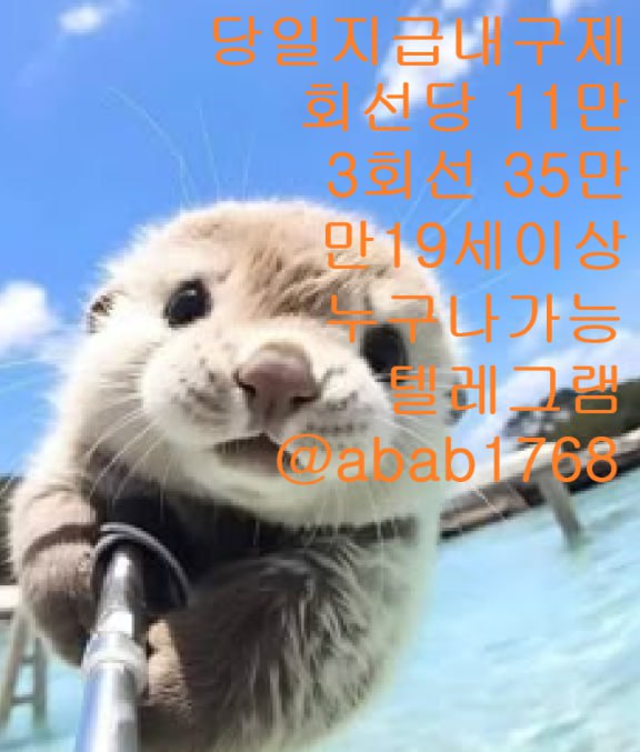 a842cf2cbf1c8936e74b62072ff8629b_1779768139_1809.jpg