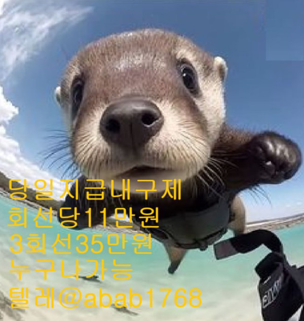 a842cf2cbf1c8936e74b62072ff8629b_1779768162_534.jpg